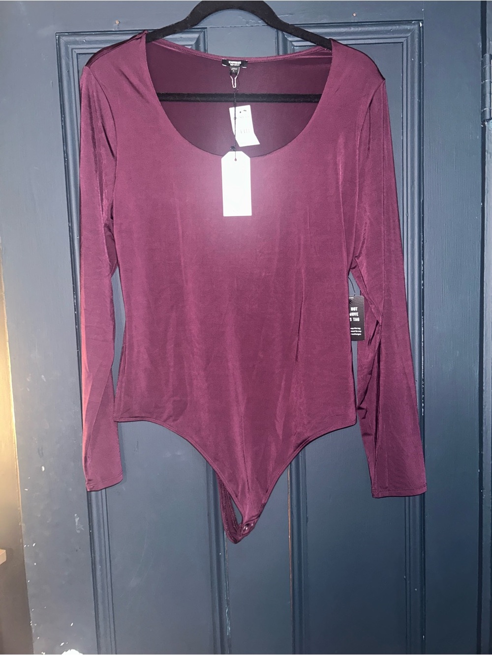 Express Seamless Plum Women's Long-Sleeve Scoop Neck Bodysuit - large NWT
